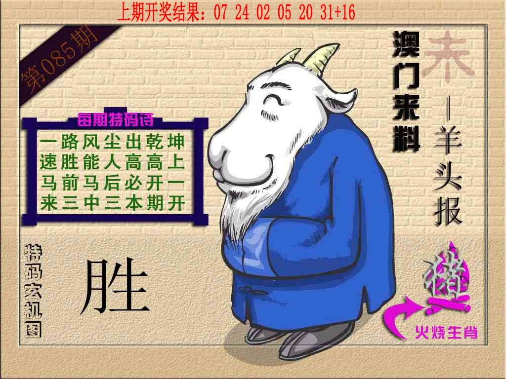 085期(来料)羊报[图]