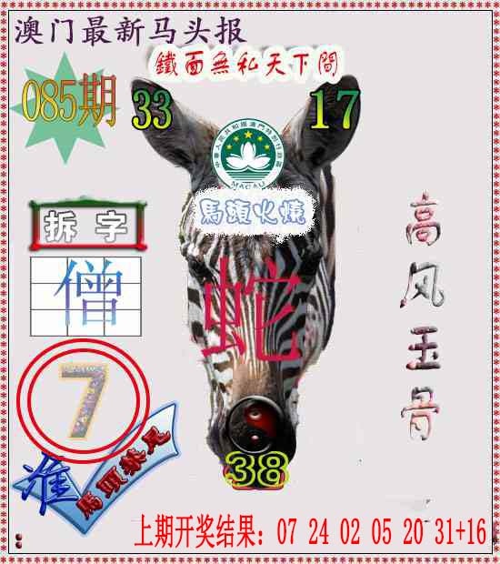 085期马头报[图]